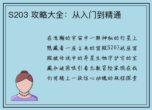 S203 攻略大全：从入门到精通